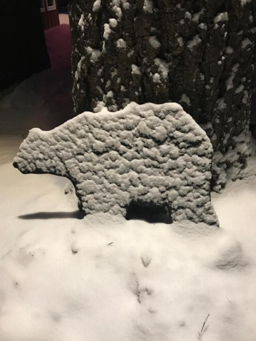 Tahoma Meadows Cottages - image 23