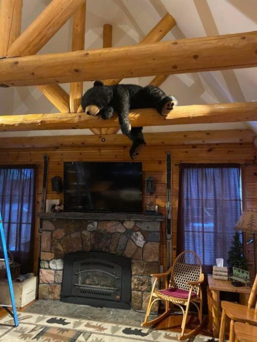 Tahoma Meadows Cottages - image 5