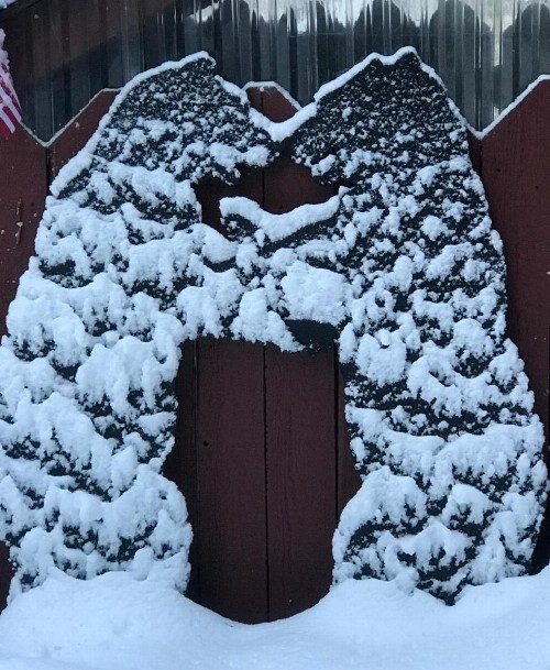 Tahoma Meadows Cottages - image 8