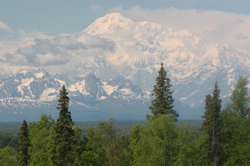 Talkeetna Alaskan Lodge - image 25