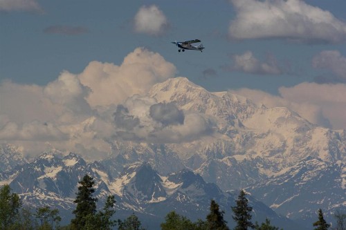 Talkeetna Alaskan Lodge - image 26