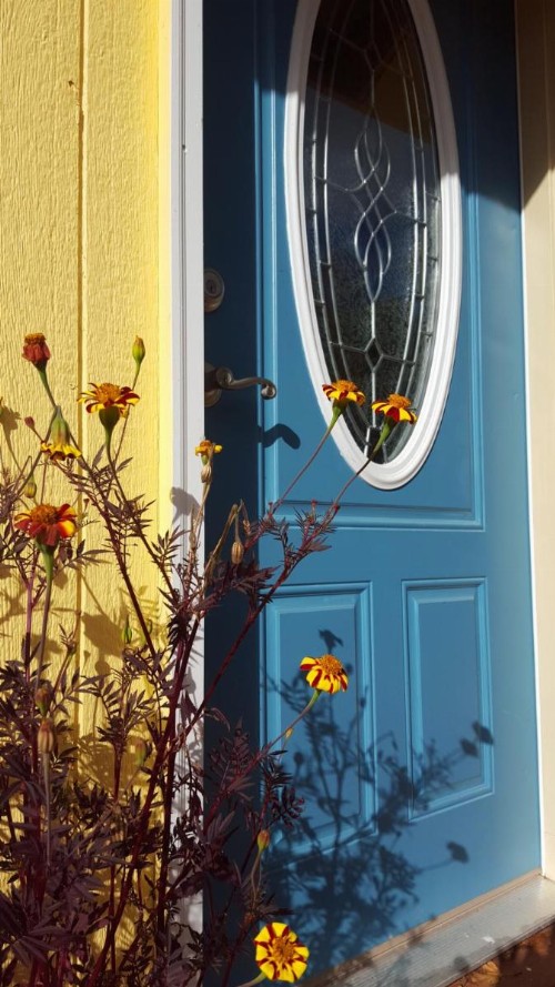 Sunshine Cottage - image 25