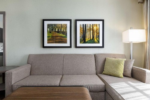 Homewood Suites by Hilton Tallahassee - image 19