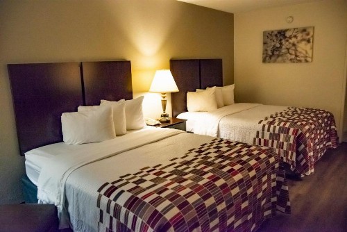 Quality Inn & Suites - image 8