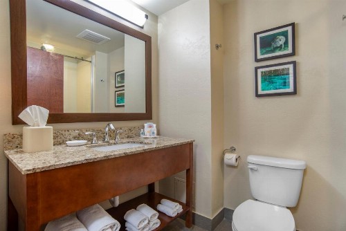 Comfort Suites Tallahassee Downtown - image 11