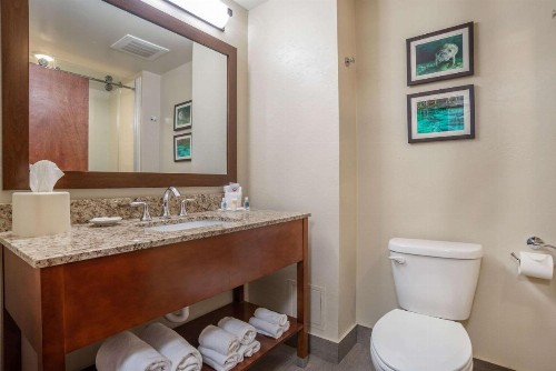 Comfort Suites Tallahassee Downtown - image 12