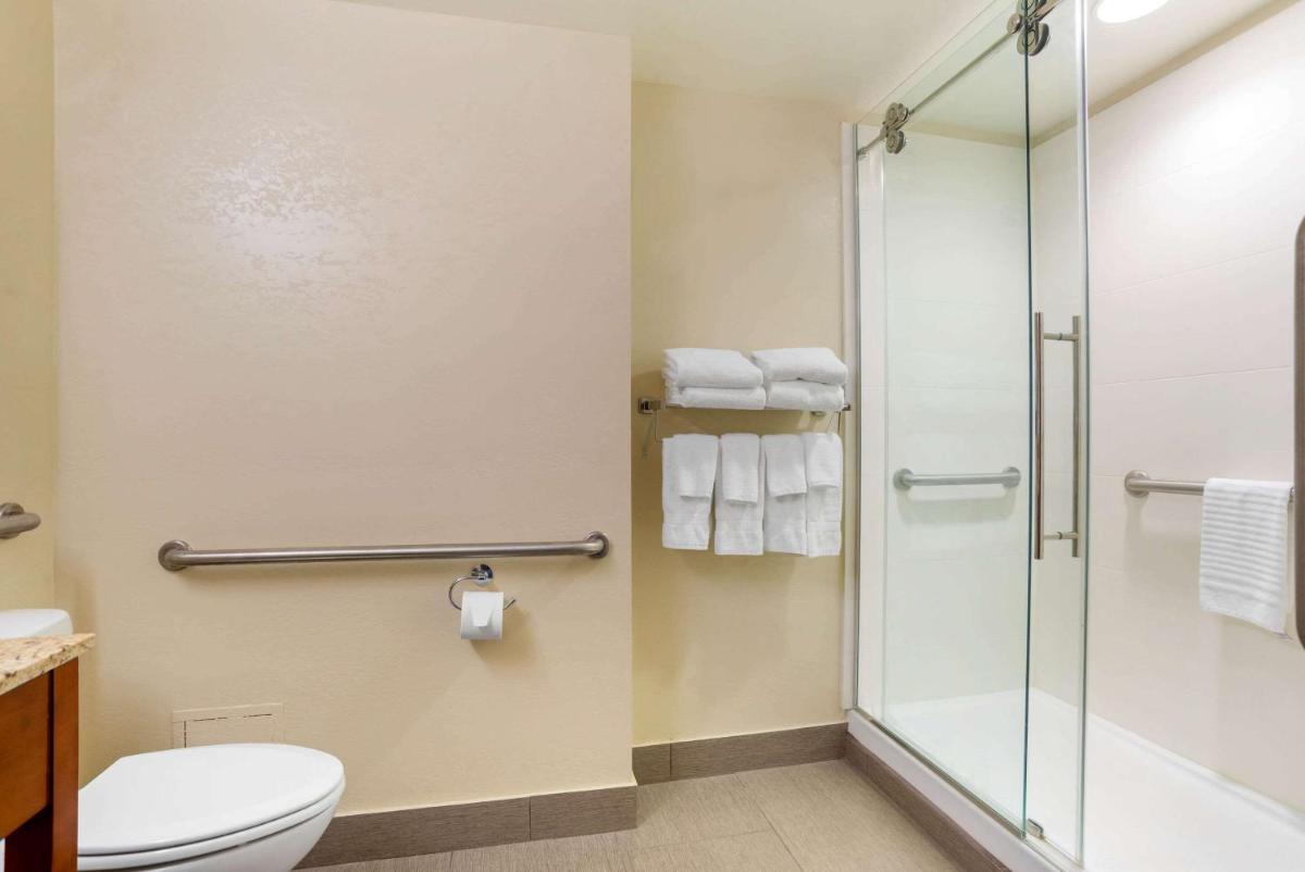 Comfort Suites Tallahassee Downtown - image 2