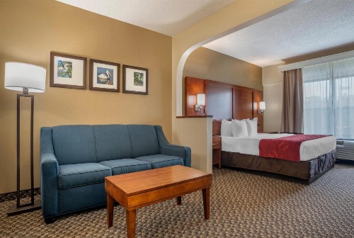 Comfort Suites Tallahassee Downtown - image 24