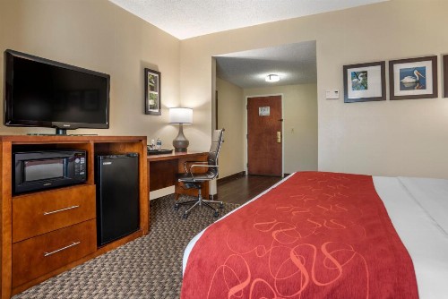 Comfort Suites Tallahassee Downtown - image 29