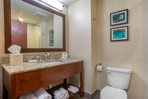 Comfort Suites Tallahassee Downtown - image 31