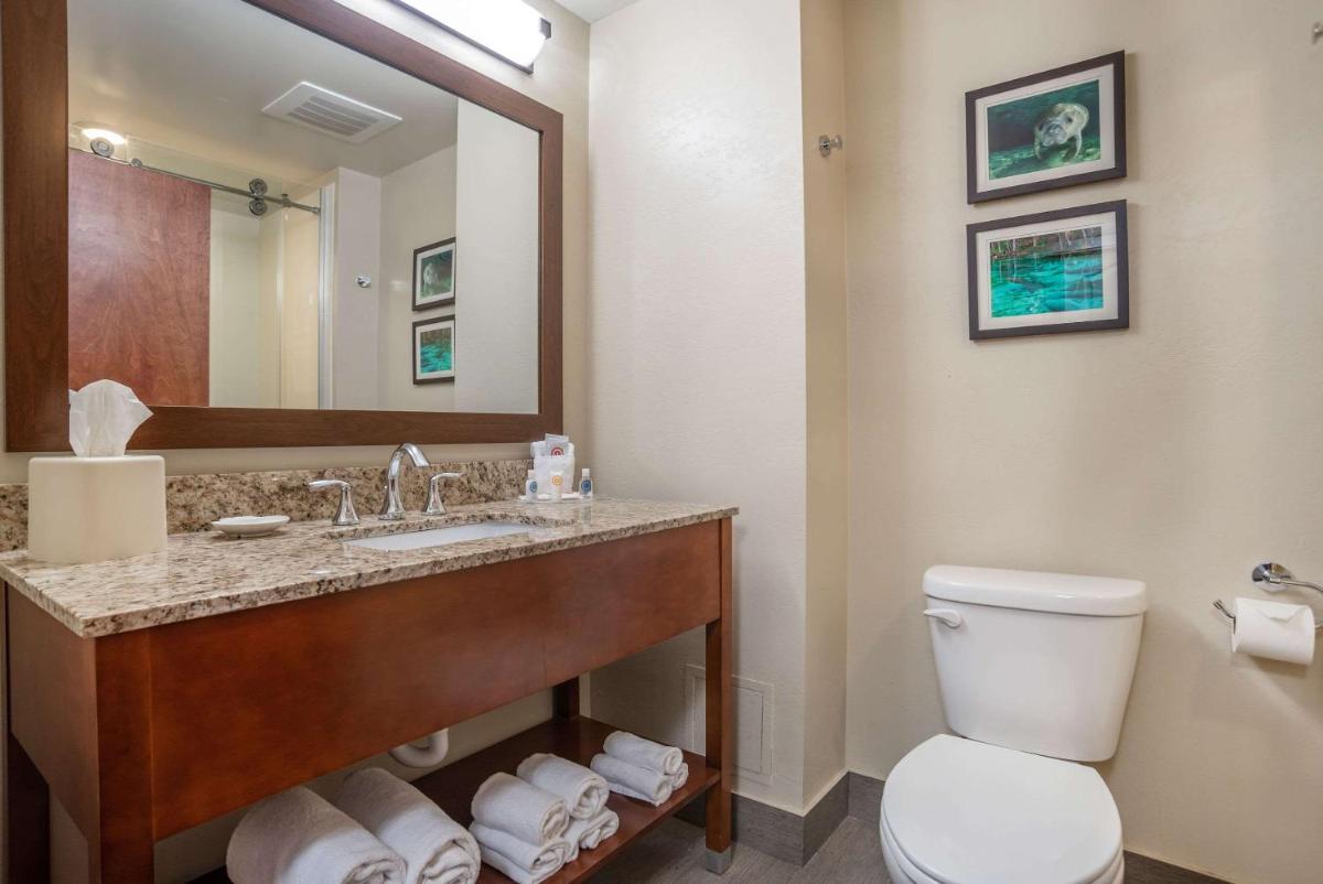 Comfort Suites Tallahassee Downtown - image 4