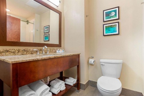 Comfort Suites Tallahassee Downtown - image 46