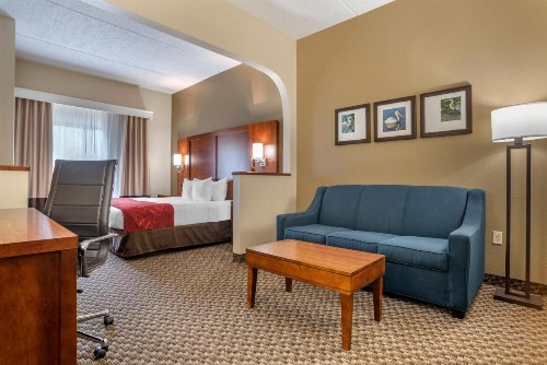 Comfort Suites Tallahassee Downtown - image 6