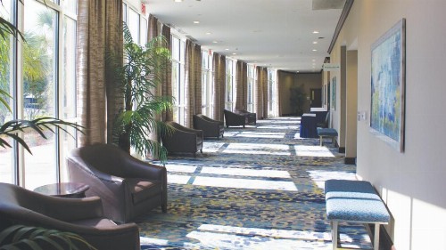 Holiday Inn Hotel & Suites Tallahassee Conference Center North an IHG Hotel - image 6