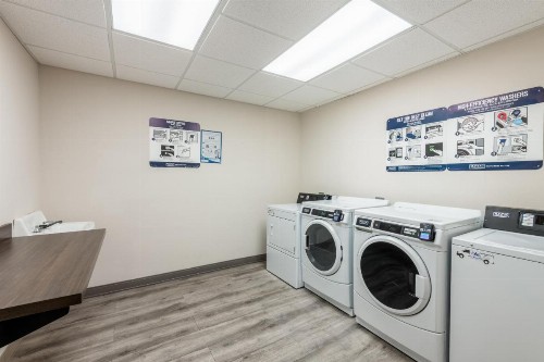 Comfort Inn & Suites - image 3