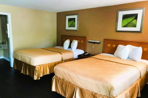 Budgetel Inn & Suites - image 8