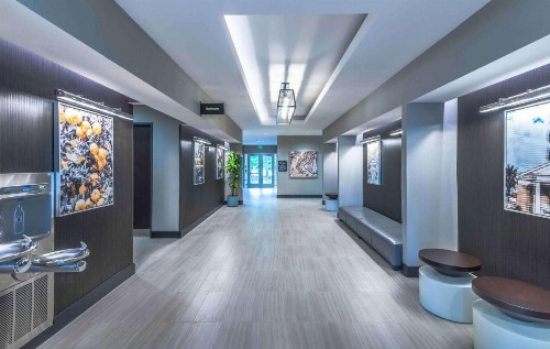 Hampton Inn & Suites Tallahassee Capitol-University - image 8