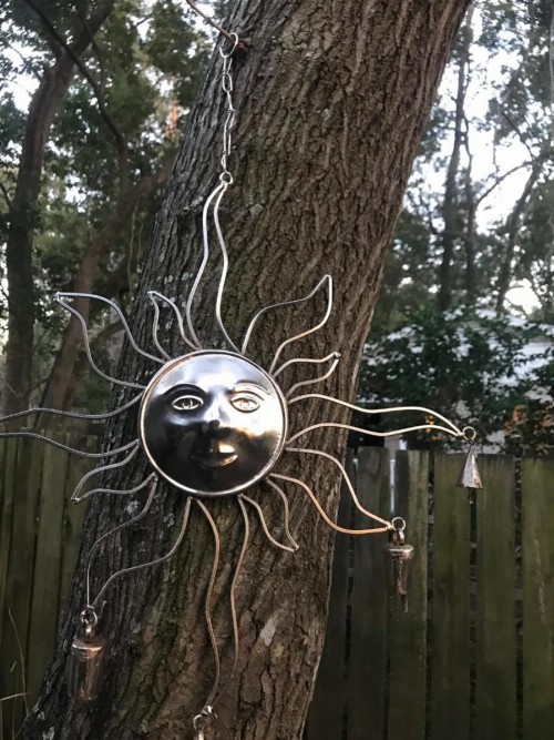 Tallahassee Sun & Moon - image 12