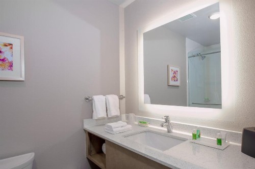 Holiday Inn - Tallahassee E Capitol - Univ an IHG Hotel - image 31