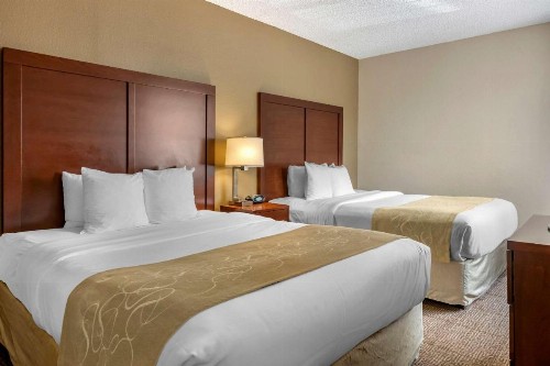 Comfort Suites Sawgrass - image 12