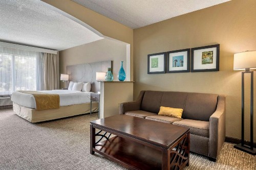 Comfort Suites Sawgrass - image 13