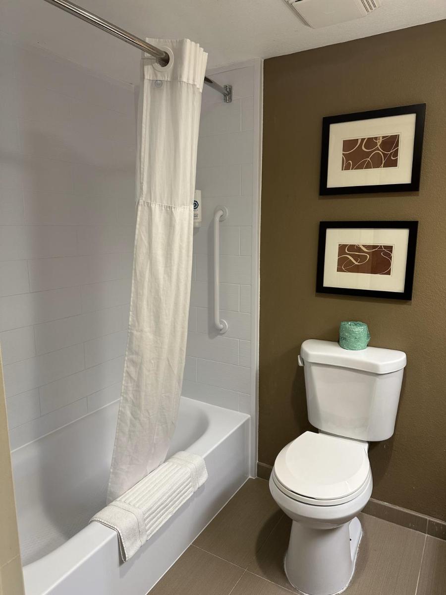 Comfort Suites Sawgrass - image 2