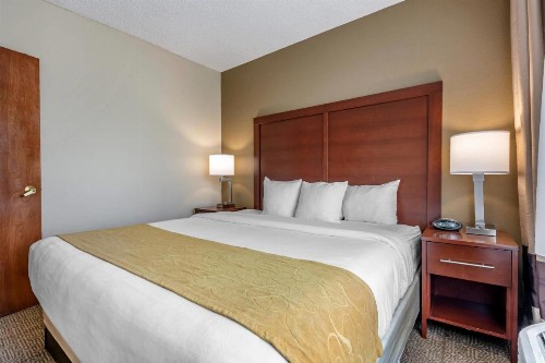 Comfort Suites Sawgrass - image 28