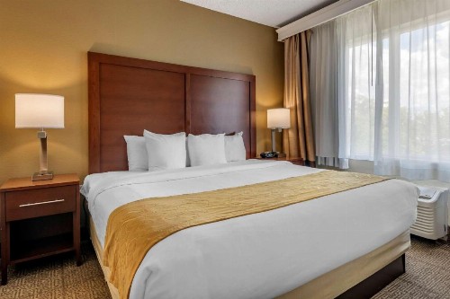 Comfort Suites Sawgrass - image 3
