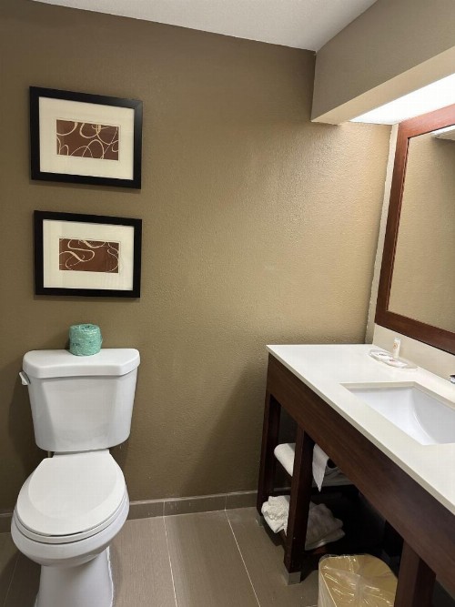 Comfort Suites Sawgrass - image 30