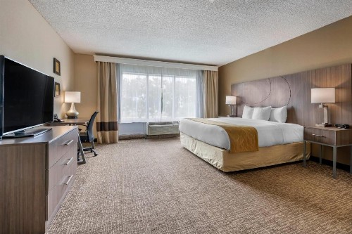 Comfort Suites Sawgrass - image 34