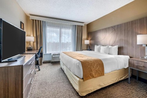 Comfort Suites Sawgrass - image 35
