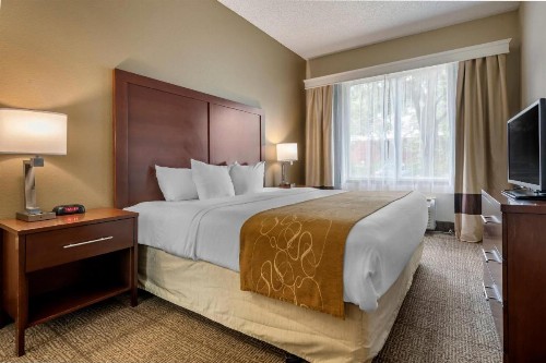 Comfort Suites Sawgrass - image 38