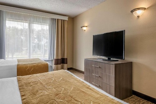 Comfort Suites Sawgrass - image 4