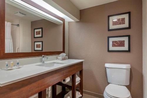 Comfort Suites Sawgrass - image 48