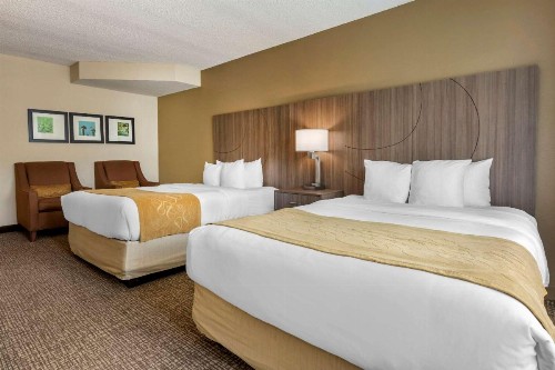 Comfort Suites Sawgrass - image 6