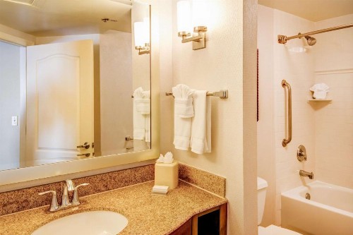 Hilton Garden Inn Tampa Ybor Historic District - image 12