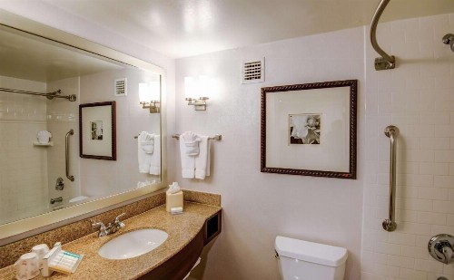Hilton Garden Inn Tampa Ybor Historic District - image 13