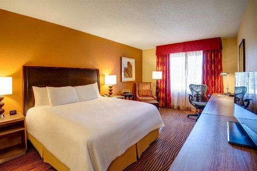 Hilton Garden Inn Tampa Ybor Historic District - image 28