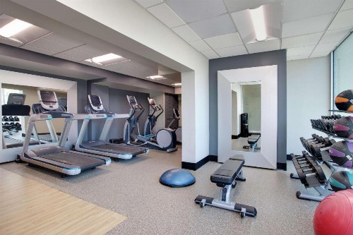 Embassy Suites Tampa Downtown Convention Center - image 27