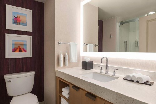 Embassy Suites Tampa Downtown Convention Center - image 33