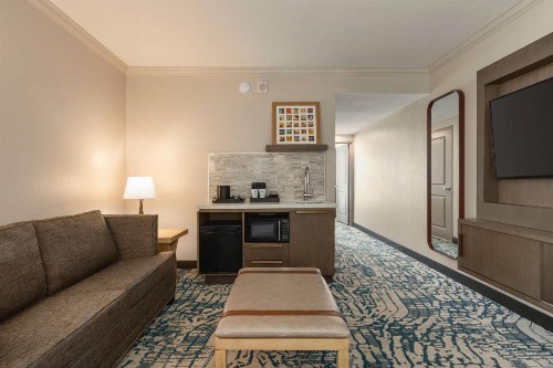 Embassy Suites Tampa Downtown Convention Center - image 40