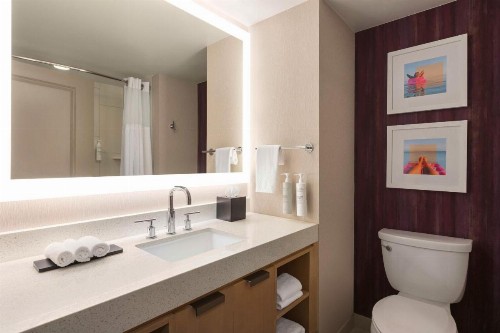 Embassy Suites Tampa Downtown Convention Center - image 46