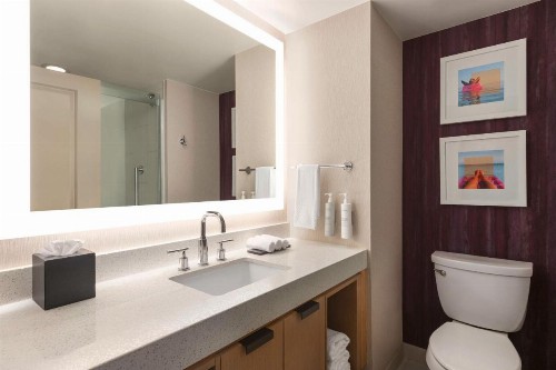 Embassy Suites Tampa Downtown Convention Center - image 49