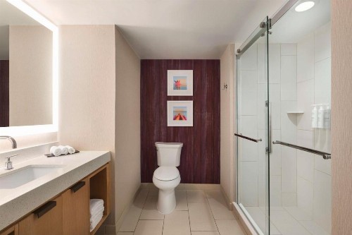 Embassy Suites Tampa Downtown Convention Center - image 50