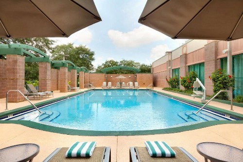 Embassy Suites Tampa - USF / Busch Gardens - image 10