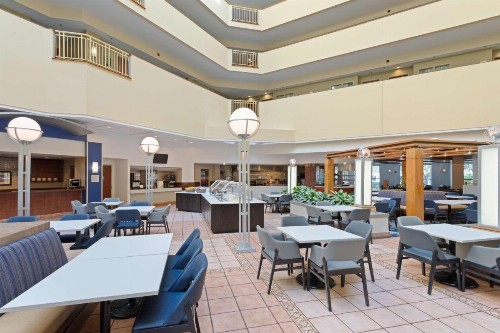 Embassy Suites Tampa - USF / Busch Gardens - image 11