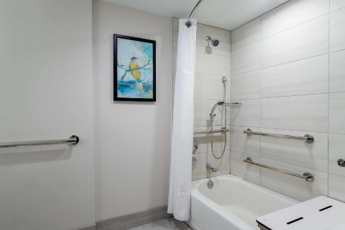 Embassy Suites Tampa - USF / Busch Gardens - image 15