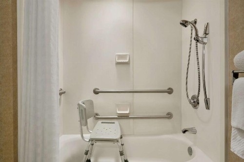 Embassy Suites Tampa - USF / Busch Gardens - image 17