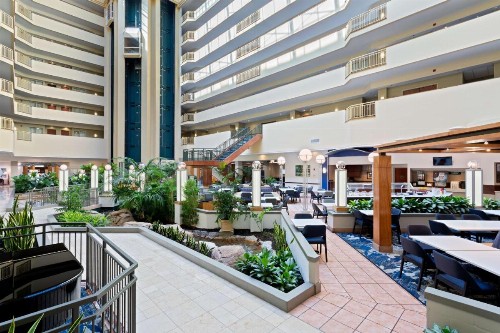 Embassy Suites Tampa - USF / Busch Gardens - image 2