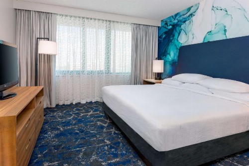 Embassy Suites Tampa - USF / Busch Gardens - image 20